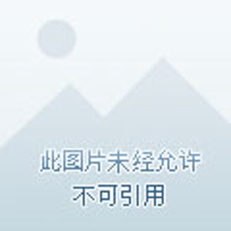 深圳新能源公司驶向绿色未来